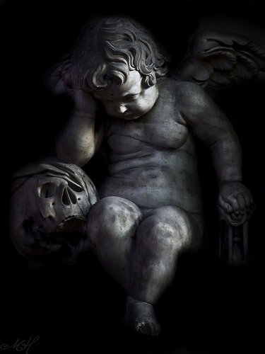 quimera5