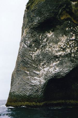 elefante_roca