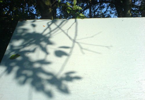 cara en las sombras