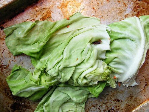 lechuga_con_rostro