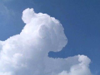 nube-oveja
