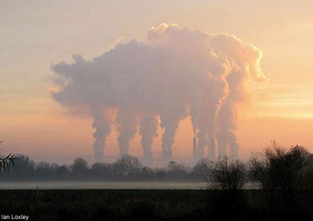 nube_cerdo