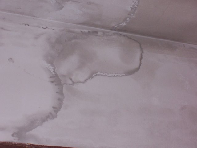 teleplastias2