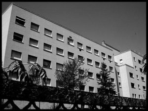 195404575_9e15f833d0