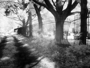 CRW_8206_small