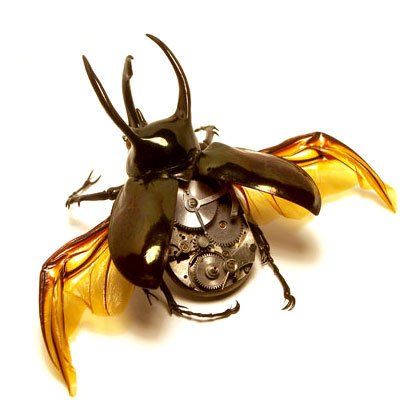 insecto_robot