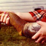 Geoduck, la almeja trompa de elefante