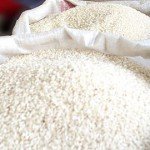 El milagro de la multiplicación del arroz de Olivenza. 