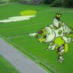 Cosas que hacer en un campo de arroz
