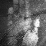 Relatos de terror. Sombras, por Maria José