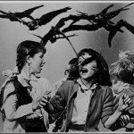 Pájaros agresivos, el ataque de las aves cabreadas.